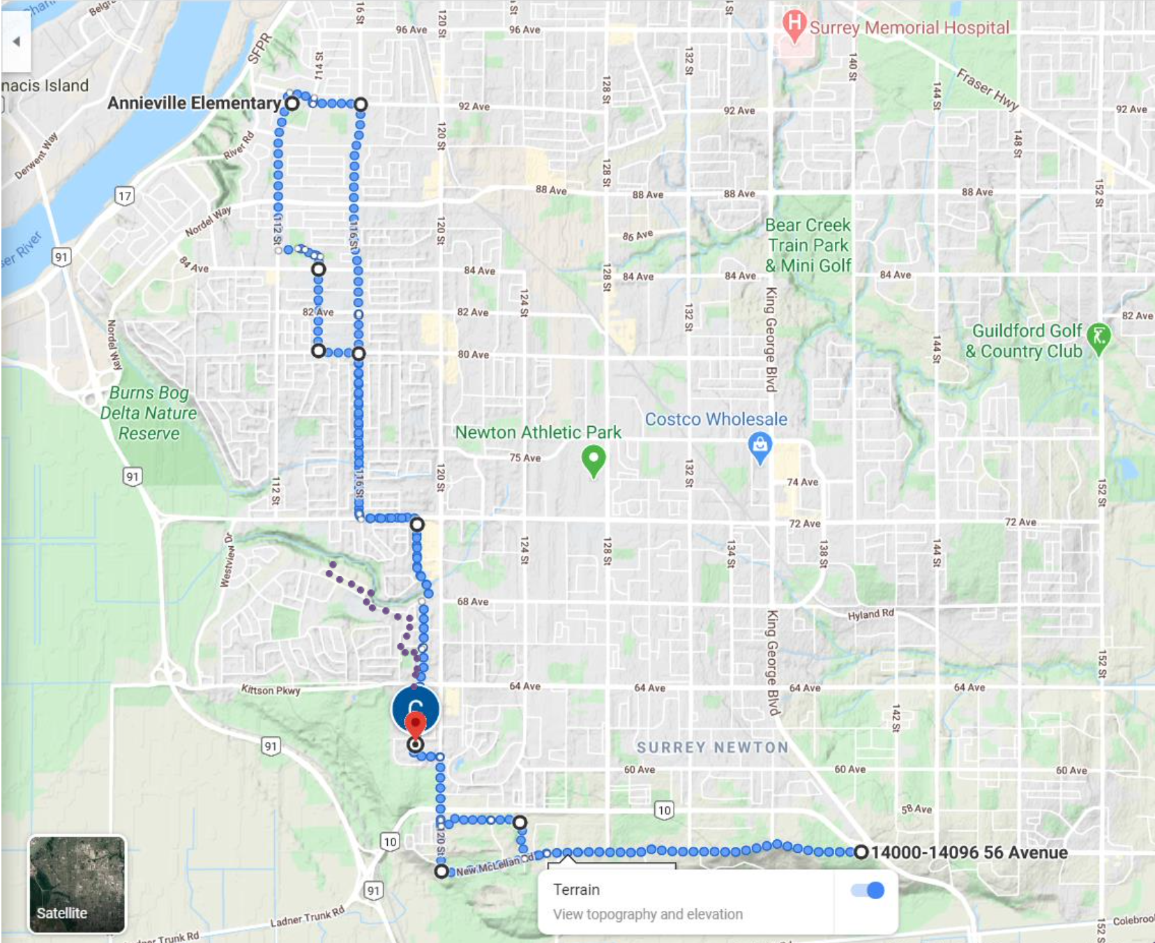 Carol's 100 km Walk Map June 26 2020.png
